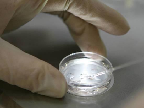 В Китае нашли эмбрион неизвестного организма