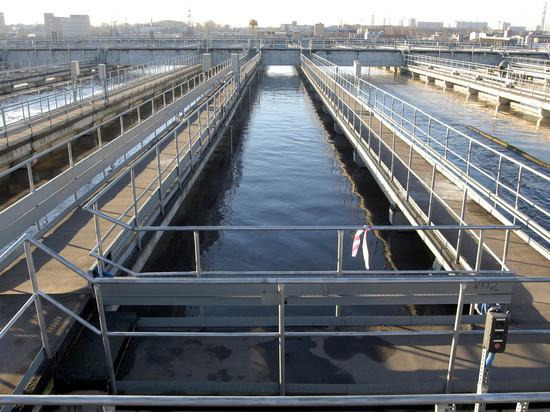 Российские ученые запустят в канализацию водоросли, чтобы очистить воду