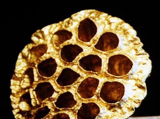 "Сверхлегкое" золото из пластика изобрели в Швейцарии