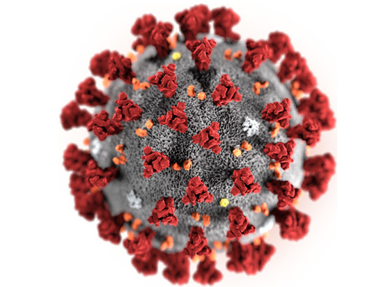 Ученые рассказали, для кого наиболее опасен новый коронавирус