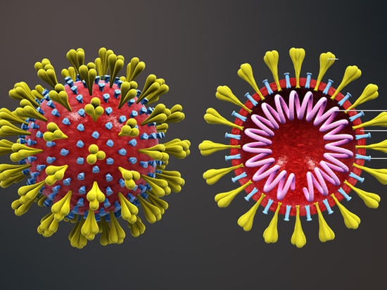 Экс-сотрудник научной лаборатории раскрыл технологию создания коронавируса