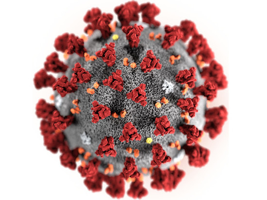 Ученые, расшифровавшие геном коронавируса, объяснили исключительную важность открытия