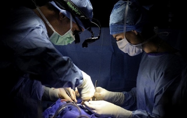 В Нидерландах врачи откладывают операции из-за коронавируса