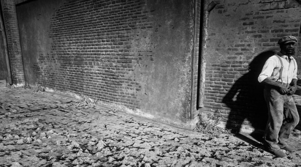 Уличный фотограф сидит на карантине и делает художественные снимки в Red Dead Redemption 2