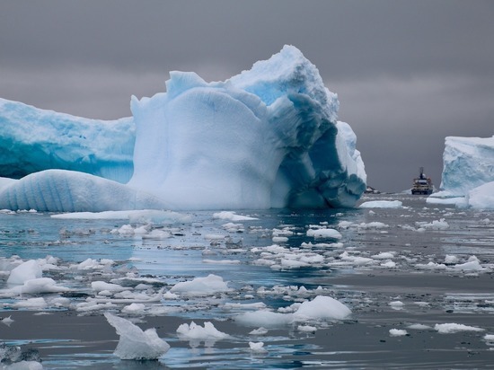 Из-за коронавируса полярники в Антарктиде столкнулись с ограничениями