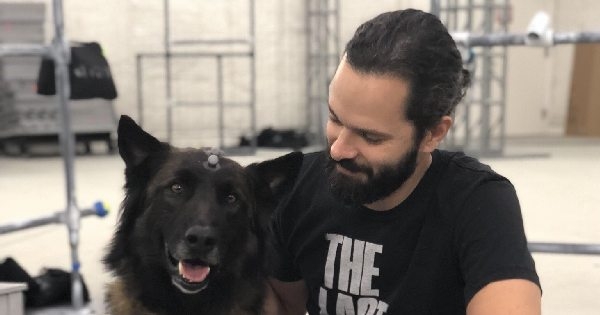 Магазин выставил возможность лишать жизни собак как одну из особенностей The Last of Us Part 2