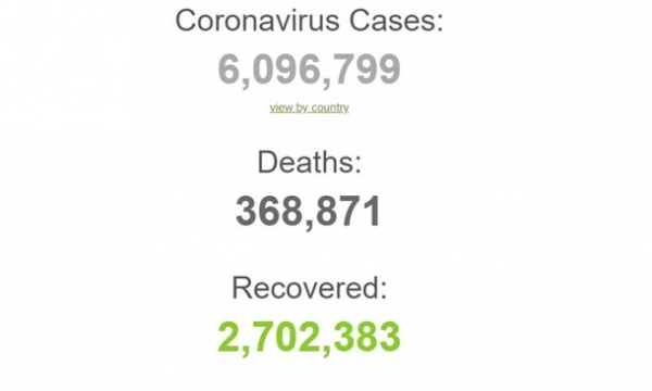 Число больных коронавирусом в мире превысило 6 млн