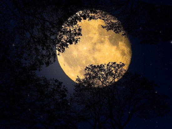 Астрологи предостерегли о «безумной Луне» 7 мая