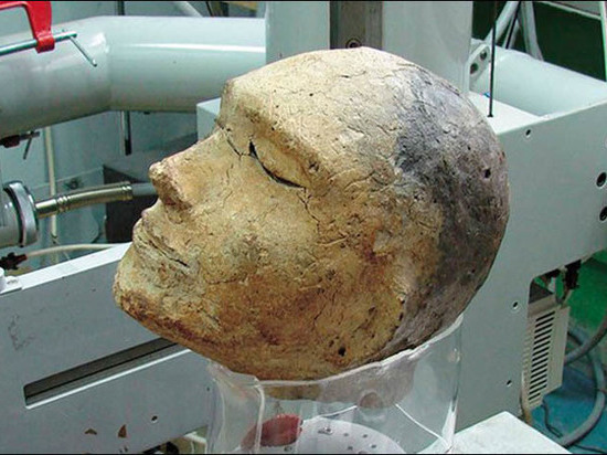 Российские ученые нашли в захороненной человеческой голове череп барана