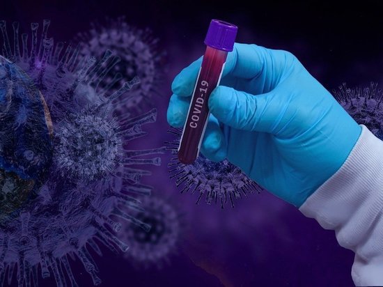 У испытавших вакцину от COVID-19 российских врачей нашли антитела