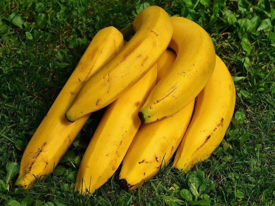 Названы продукты, которые категорически нельзя есть с бананами