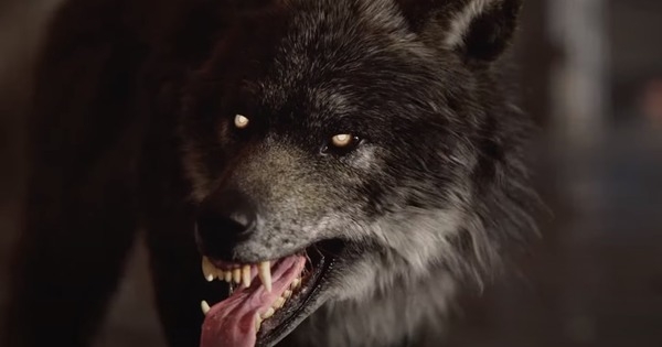 Ирландский оборотень против нефтяников — вышел новый трейлер Werewolf the Apocalypse