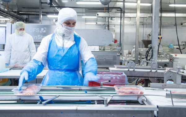 На мясокомбинате в Германии выявили сотни случаев COVID