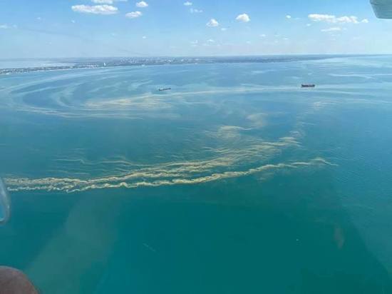 Черное море возле Одессы превратилось в зеленый кисель