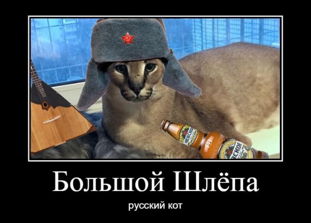 Большой шлепа Флоппа русский кот