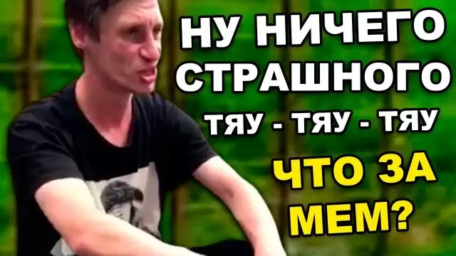 Ну ничего страшного тяу тяу