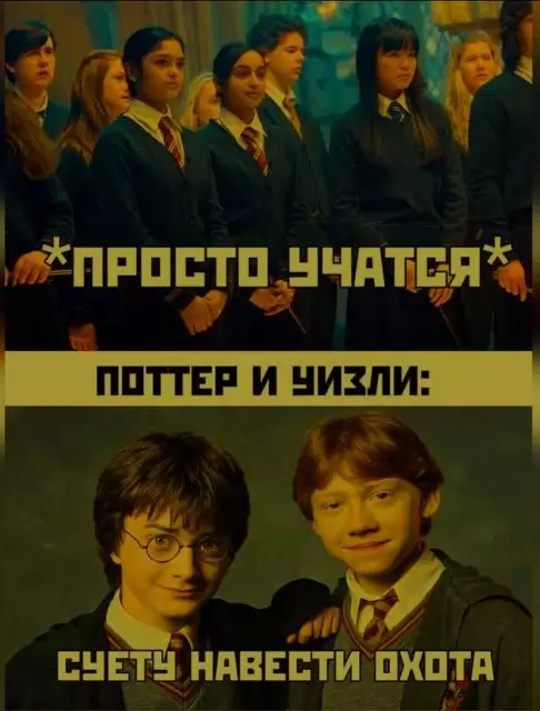 Суету охота навести